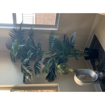 Customer image 187