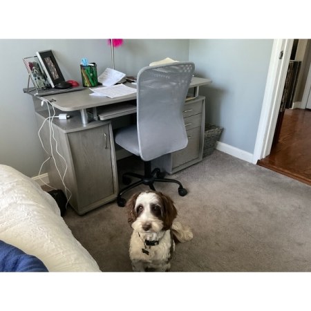 Customer image 2