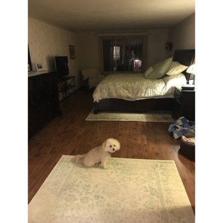 Customer image 1077
