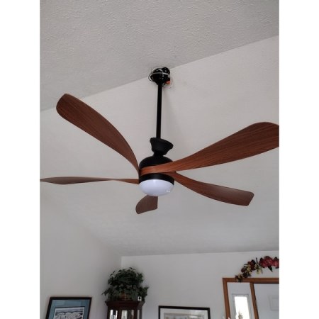 Customer image 1