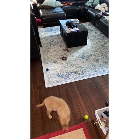 Customer image 833