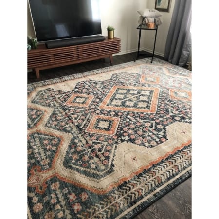 Customer image 187
