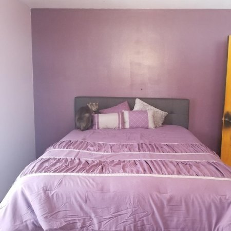 Customer image 91