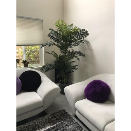 Customer image 167