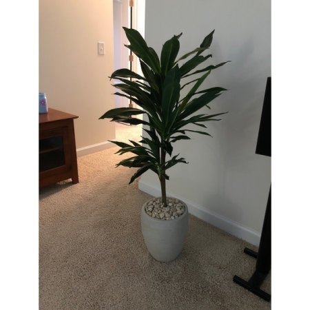 Customer image 81