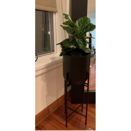 Customer image 10