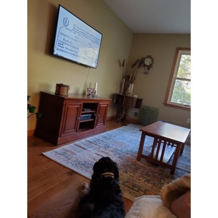 Customer image 49