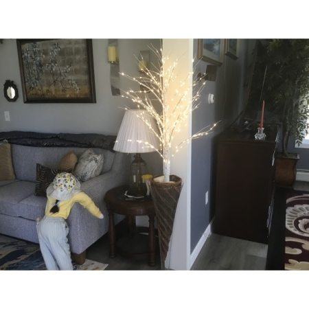 Customer image 1