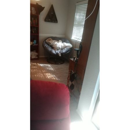 Customer image 29