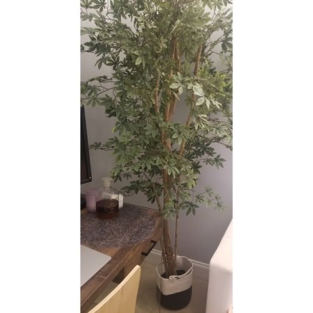 Customer image 2