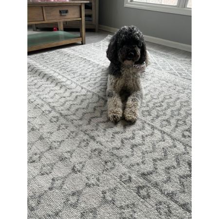 Customer image 45