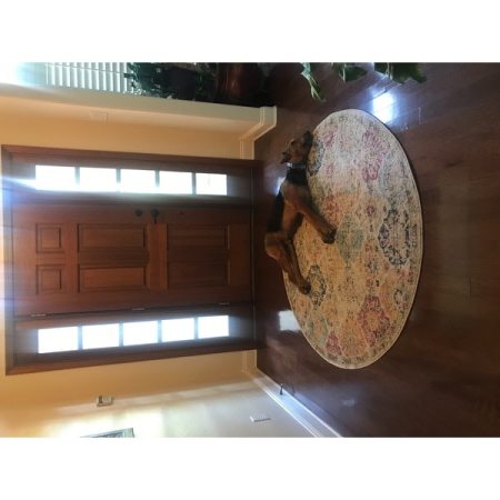 Customer image 1484