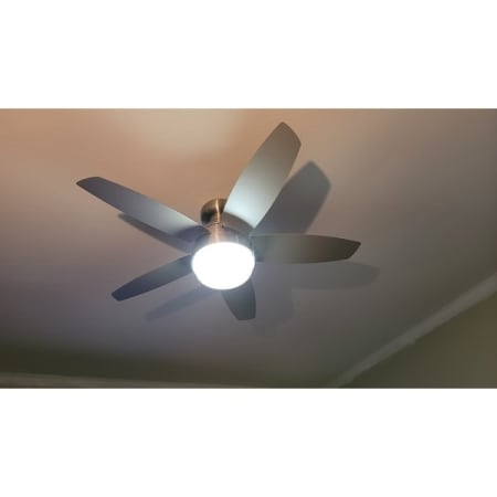 Customer image 3