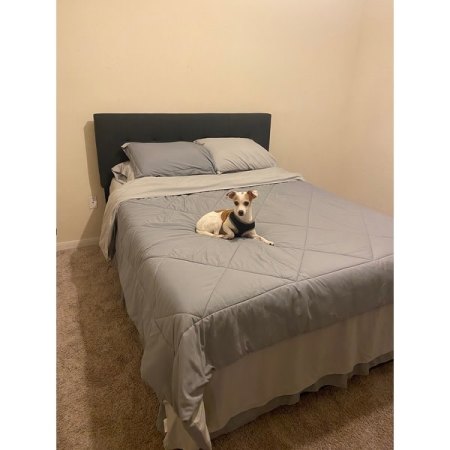 Customer image 17