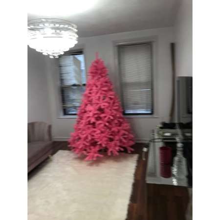 Customer image 62