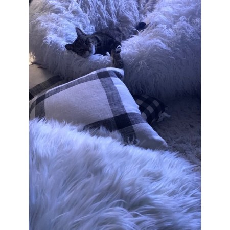 Customer image 38