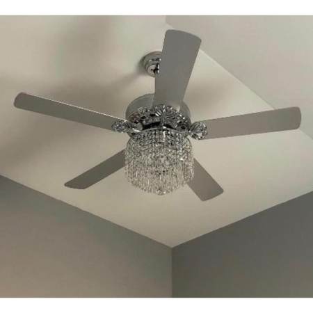 Customer image 7