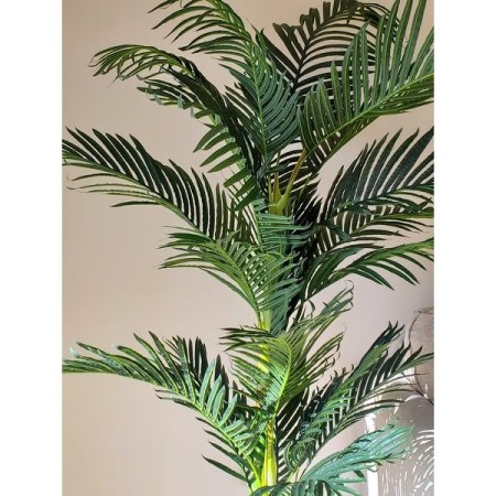 Customer image 24
