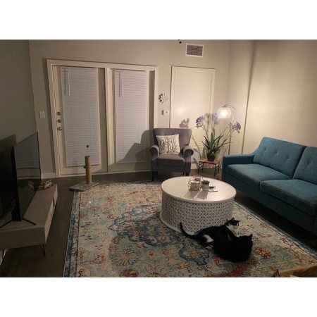 Customer image 248