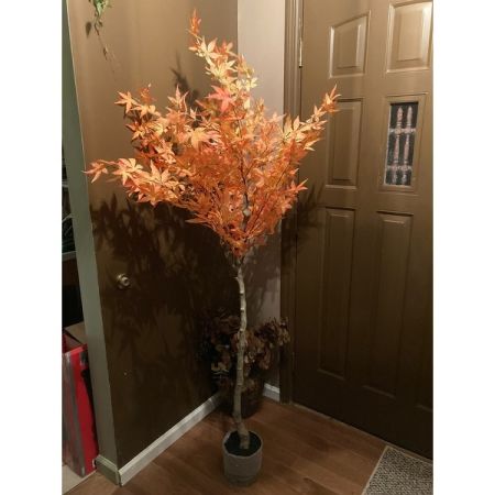 Customer image 1