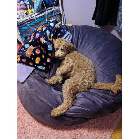 Customer image 12