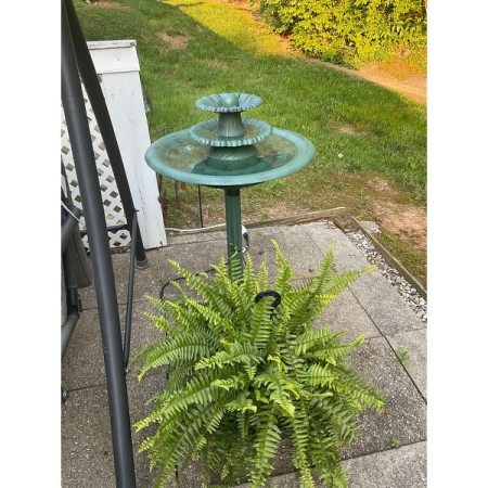 Customer image 4