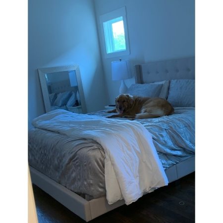 Customer image 37