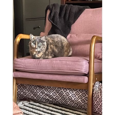 Customer image 65