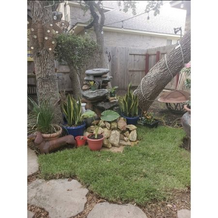 Customer image 25