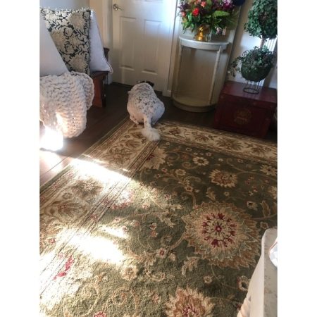 Customer image 161