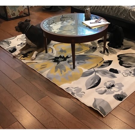 Customer image 237