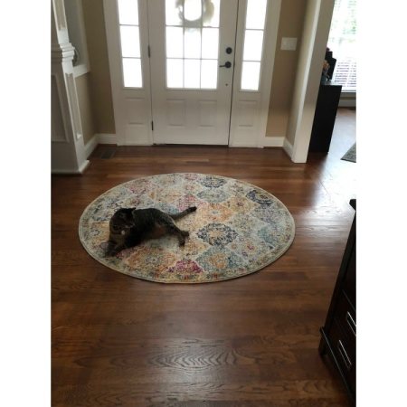 Customer image 1479