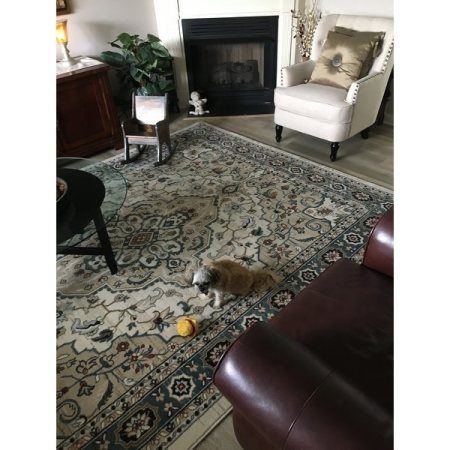 Customer image 66