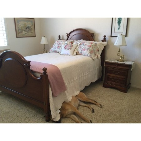 Customer image 23