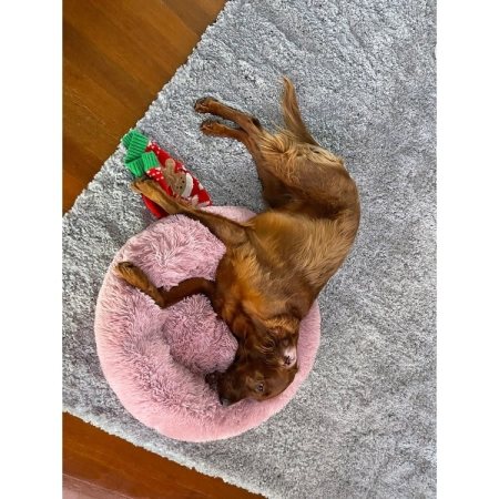 Customer image 57