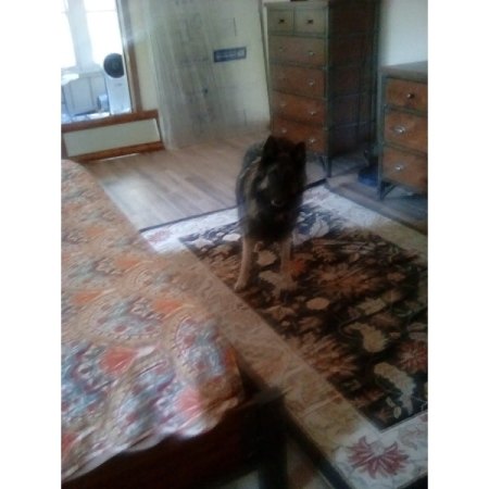Customer image 31