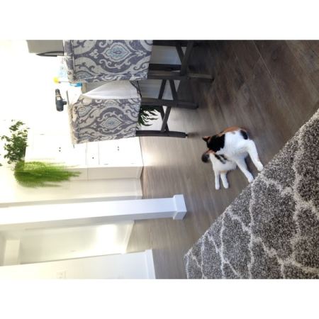 Customer image 556