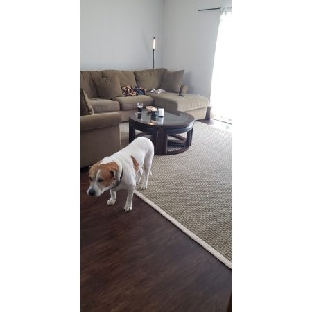 Customer image 349