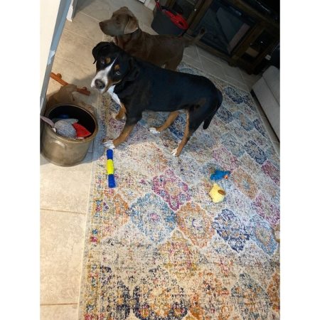 Customer image 1079