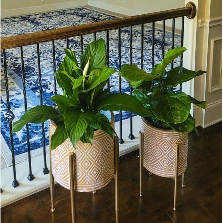 Customer image 1