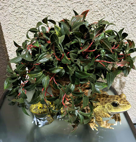 Customer image 1