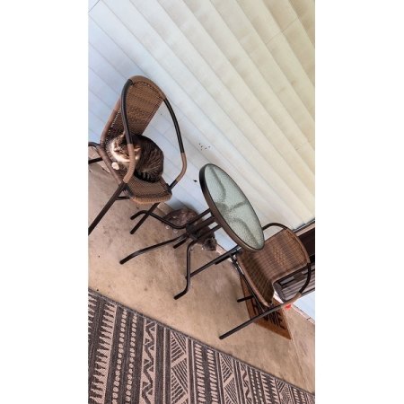 Customer image 4