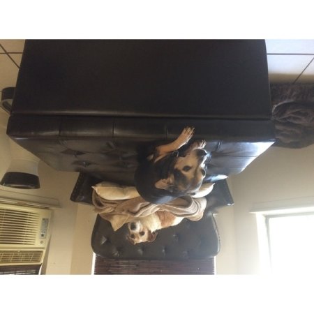 Customer image 23
