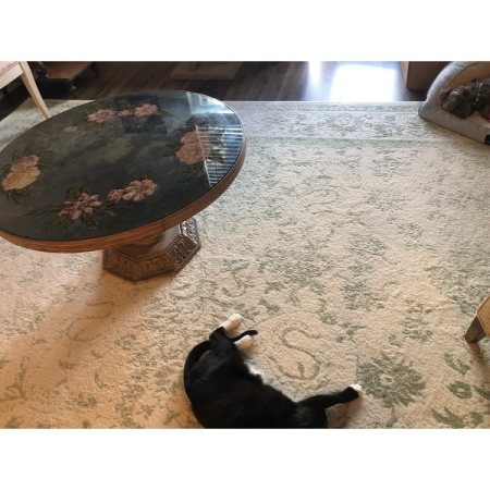 Customer image 8