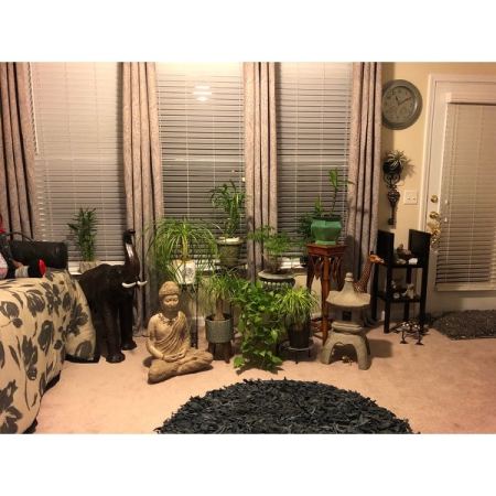 Customer image 152