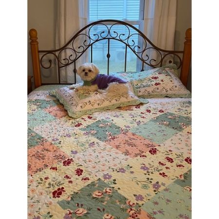 Customer image 34