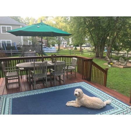 Customer image 61