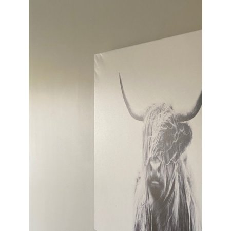 Customer image 7