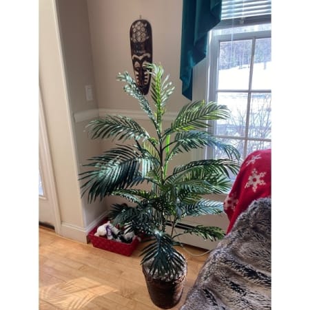 Customer image 16