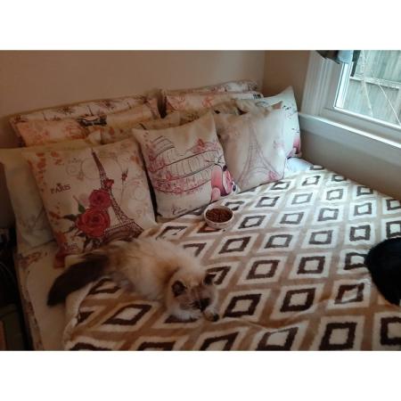 Customer image 656